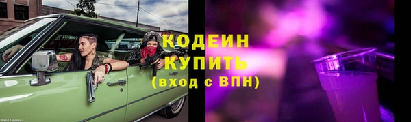 дживик Абаза
