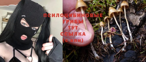 гидра Алзамай
