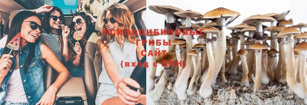 сатива Абинск
