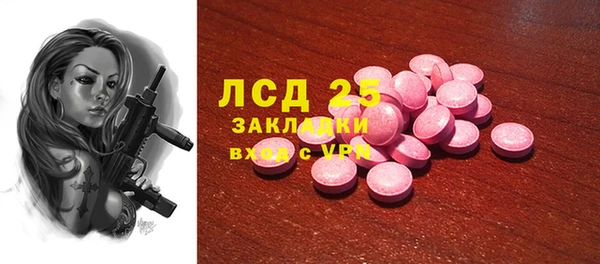 сатива Абинск