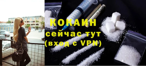 дживик Абаза