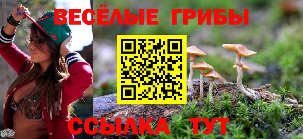 Зеленодольск  Галлюциногенные грибы Psilocybine cubensis  Псилоцибиновые грибы мухоморы  Вход с VPN 